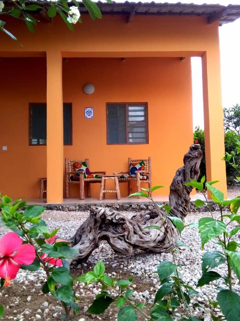 Kamili View Apartments Kiwengwa  Exterior photo